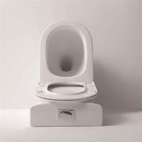 YS22268P toilet keramik tanpa bingkai 2 bagian, toilet cuci P-trap;