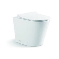 YS22268F Toilet keramik berdiri tunggal, toilet cuci P-trap tanpa bingkai;