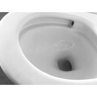 YS24271 Toilet keramik satu bagian, sifonik;